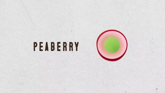 Coffee Journey | Ep 1 | Where Does Coffee Come From смотреть онлайн