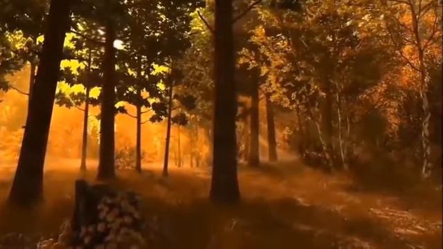 Чудесная мелодия для души смотреть онлайн