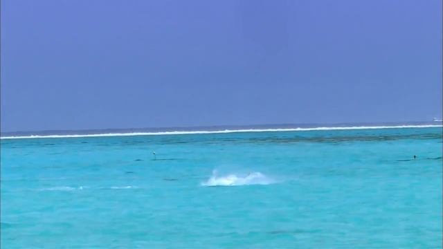 Прекрасный отдых на Бора Бора (Bora Bora) смотреть онлайн