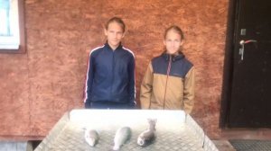 Рыбин гуд - сплошная радость от рыбалки