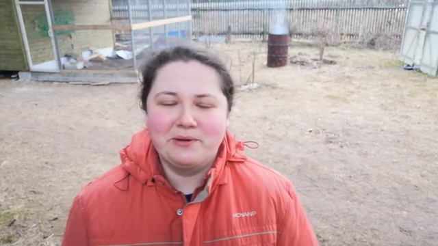 Чем заболели куры молодки? Бройлеры растут!
