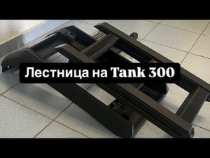 Боковая лестница на Tank 300￼