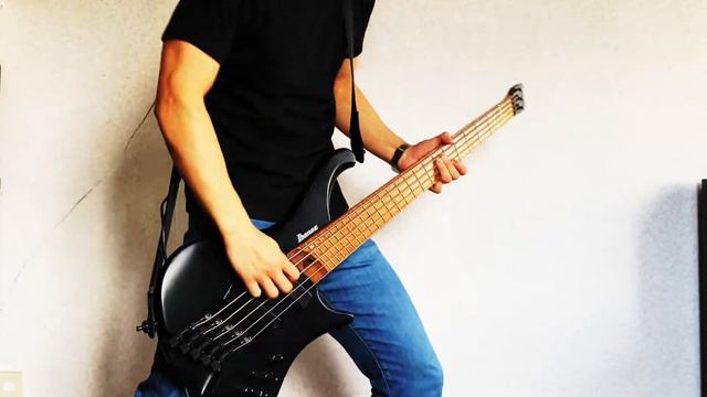 Rise Against - Satellite || Bass Cover смотреть онлайн