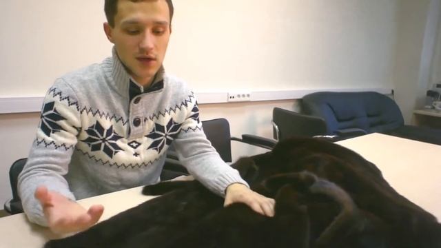 Как определить качество шубы:Советы эксперта