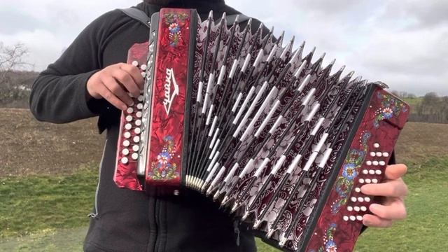 далеко журавли улетели под гармонь #гармонь #гармонист #играйгармонь #чайка смотреть онлайн