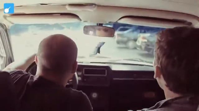 Рома Жолудь (Аккорн) в будущем смотреть онлайн