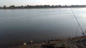 рыбалка в лежанке 2021