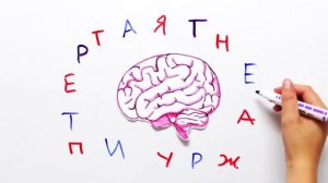 Как мы воспринимаем мир? — Научпок