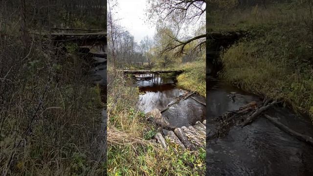 Секретная речка Псковской области смотреть онлайн