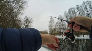 Спиннинг для джига. Новый #Favorite Blue Bird.