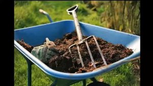 Планирование сада и огорода. Советы по планированию!