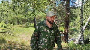 Бобры нападают на людей. Beavers attack people.