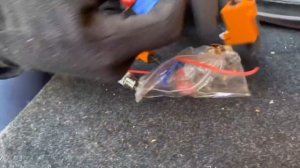 Доработка фар. Рыжики (американки) на Solaris 2