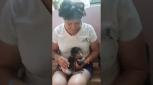 Гамадрил Люся. Тайган!