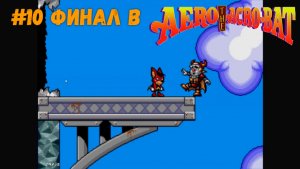 #10 Финал в Aero the Acro-Bat