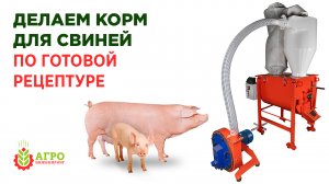 Делаем комбикорм для свиней по рецептуре. Обзор разных рецептов.