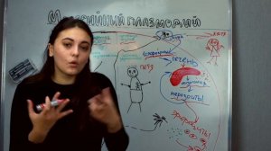 Малярийный плазмодий. Жизненный цикл