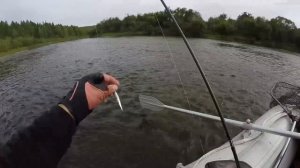 МОЩНЫЕ поклевки ленков! Тактика ловли на воблеры. Рыбалка. Спиннинг.