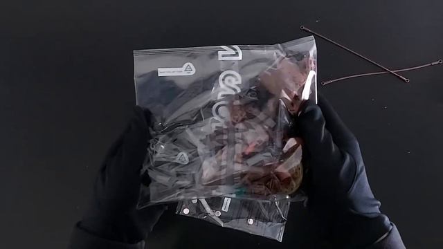 LEGO Bonsai Tree Unboxing (10281) смотреть онлайн