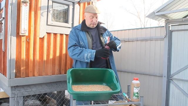 ВАЖНО дезинфекция зерна для кур. смотреть онлайн