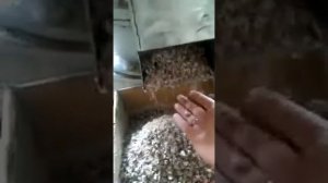 Пласткомпактор МПК-300