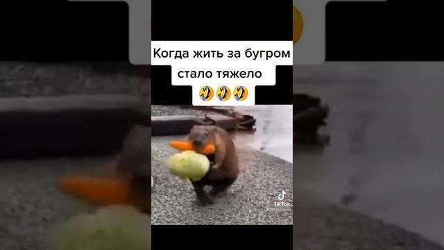 Когда стало трудно жить!