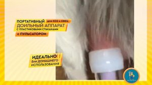 Доильный аппарат портативный AGRI для коз с пластиковыми стаканами. Отзывы+ сравнение с Melasty