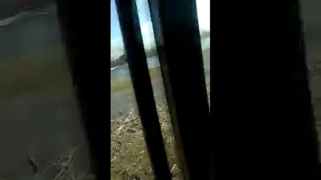 Активная борона для чеснока. смотреть онлайн