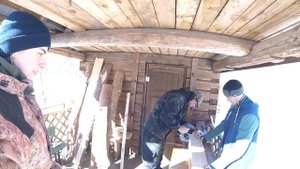Дом (гнездовье) для сыча