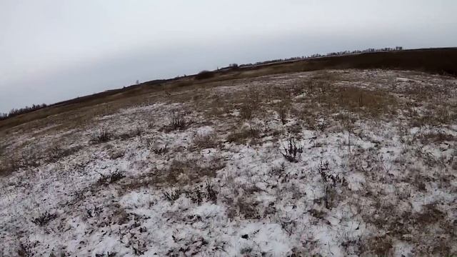 Степной русак. ОХОТА НА ЗАЙЦА смотреть онлайн