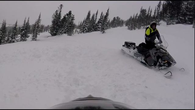 Сивуха 2020 смотреть онлайн