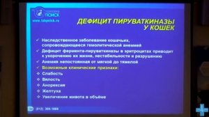 Гемолитические анемии собак и кошек.mp4