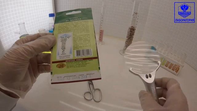 Огурец Данила F1. Манул смотреть онлайн