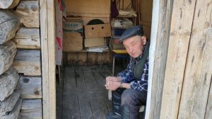 Американский бульдог/Не формат/Без цензуры.#americanbulldog #американскийбульдог