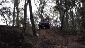 Blackwood State Forest Nissan GQ Patrol L98 6LT V8 4x4 4wd offroad