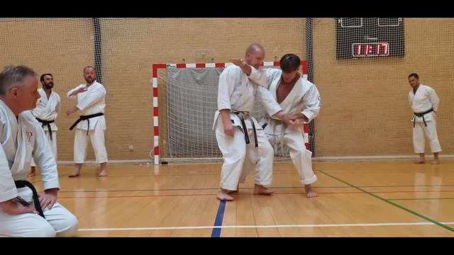 Rick Hotton - Thoughts on Tekki Nidan смотреть онлайн