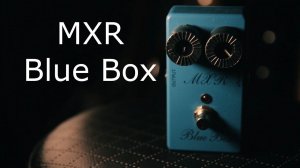 MXR M103 Script Blue Box Reissue Sonic Youth, Led Zeppelin, Дельфин