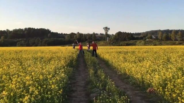 Тает лед смотреть онлайн