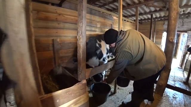 Батл! Кто больше работает я или жена? Сколько пчел выжило после зимы. Жизнь в деревне. смотреть онлайн