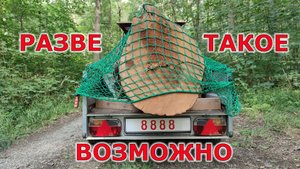 Я, жена и тишина. Перевозка огромного дуба на легковом прицепе