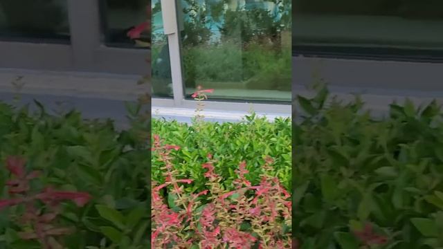 Acantus &Cennet Barut Collection,Сиде,Супер отель.Отдых в июле 2021. смотреть онлайн