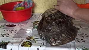 КЕРАМИКА ДЛЯ АКВАРИУМА. КАК ПОЧИСТИТЬ КЕРАМИЧЕСКИЙ ДЕКОР АКВАРИУМА?ЧИСТКА ДЕКОРАЦИЙ АКВАРИУМА БЫСТР