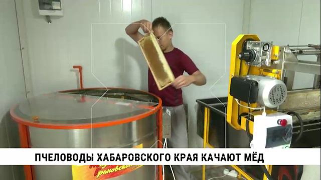 Хабаровск_к медовому спасу готов! смотреть онлайн