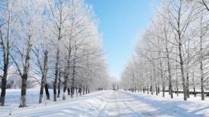 Жаль, но нельзя уговорить хоть раз часы свой замедлить ход…