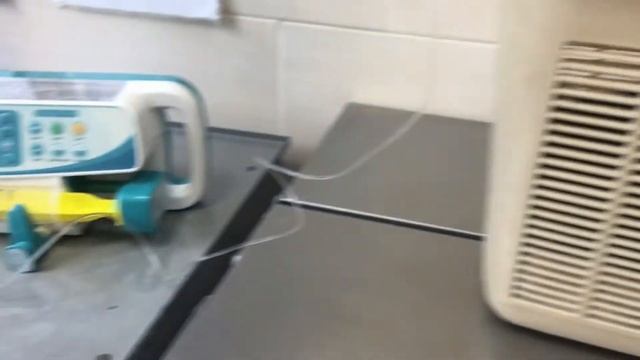 ГЛАУКОМА У КОШКИ!!! ПОЕХАЛИ В БОЛЬНИЦУ!!! КАПЕЛЬНИЦА!! 1 часть смотреть онлайн