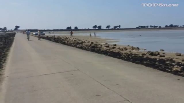 ЧТО СЛУЧИЛОСЬ С МАЛЬЧИКОМ?? ( 10 КРУТЫХ ФАКТОВ) смотреть онлайн