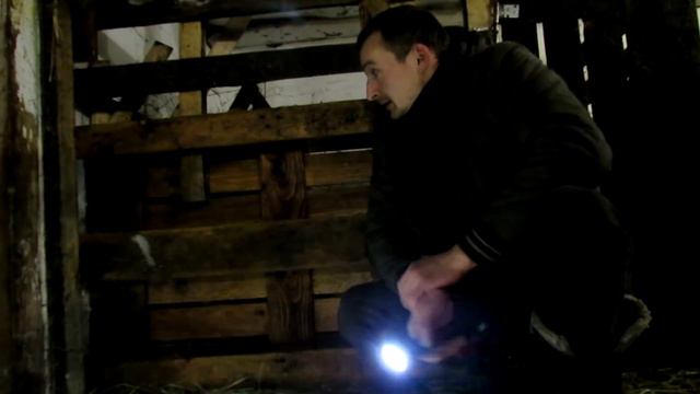 Дождались! Козлятушки-ребятушки! ) смотреть онлайн