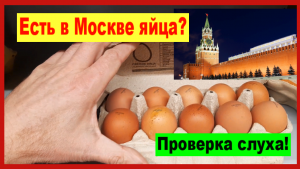 Проверка слуха! Есть ли в Москве яйца?