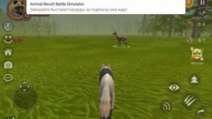 играю в симулятор волка#часть2