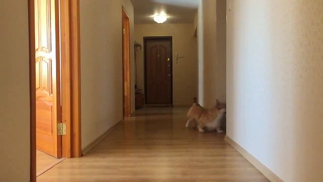 неуловимые